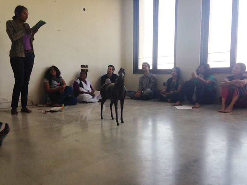 PoetryCollective
