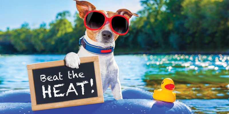 Beat-the-Heat-featured-image