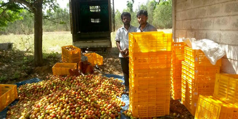 Pickup Process at Ninjacart
