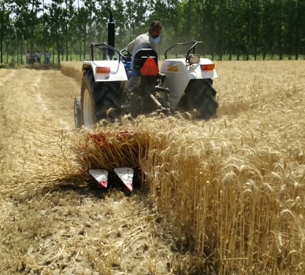 Farmers with the equipments