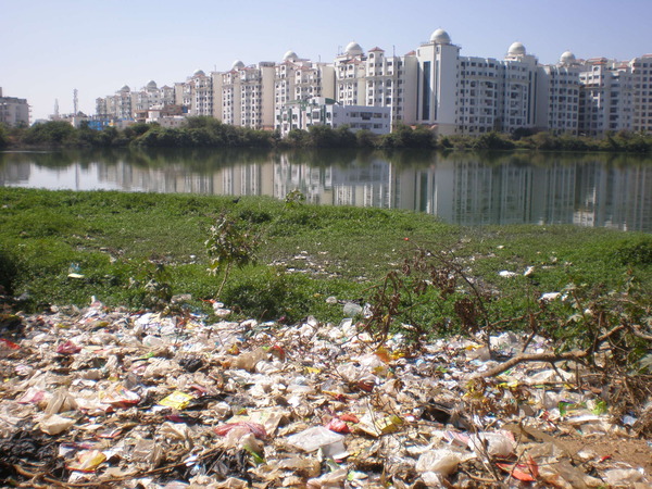 Munnekolala lake before restoration; Image : Citizen Matters
