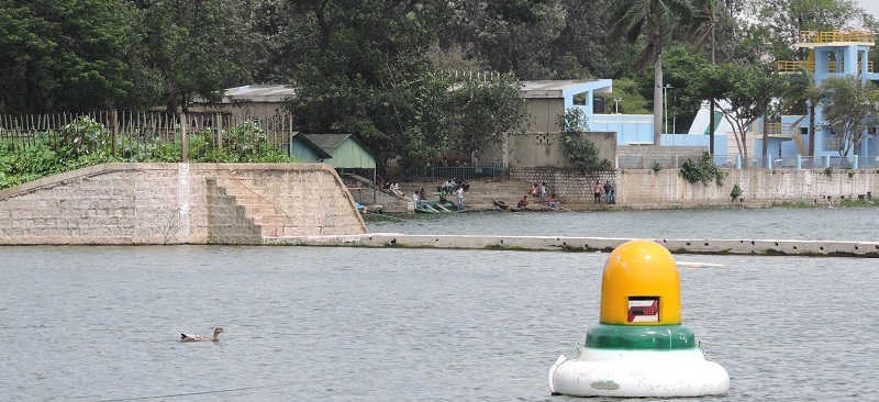 Ecogene's oxygen diffusing flotation devices in Ulsoor lake